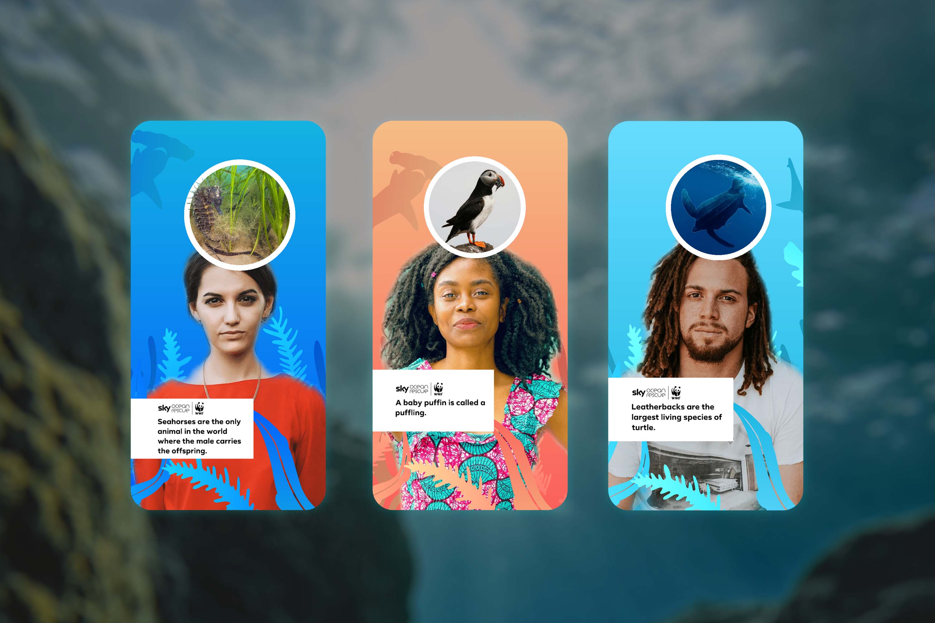 Sky & WWF Ocean Heroes